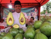 Konsumsi alpukat mendukung kesehatan jantung menurut studi