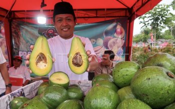 Konsumsi alpukat mendukung kesehatan jantung menurut studi